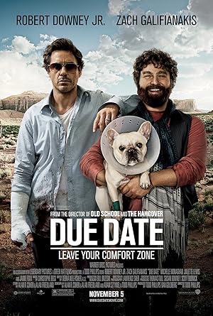 Due Date (2010) Hindi Dubbed