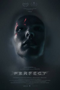 Perfect (2019) English Movie